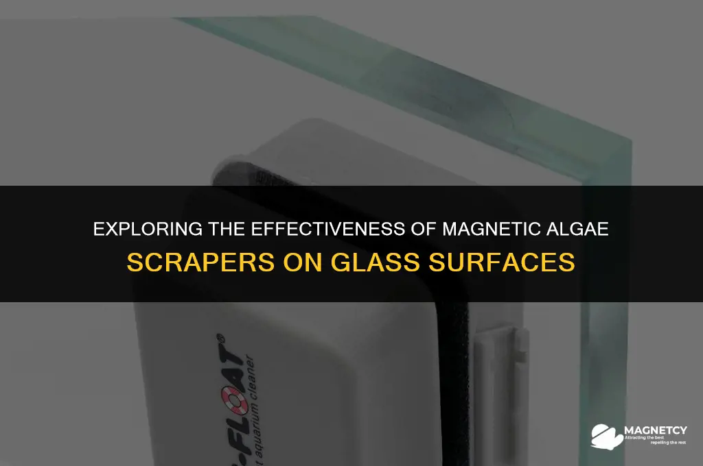 do magnetic algae scrapers work on glass