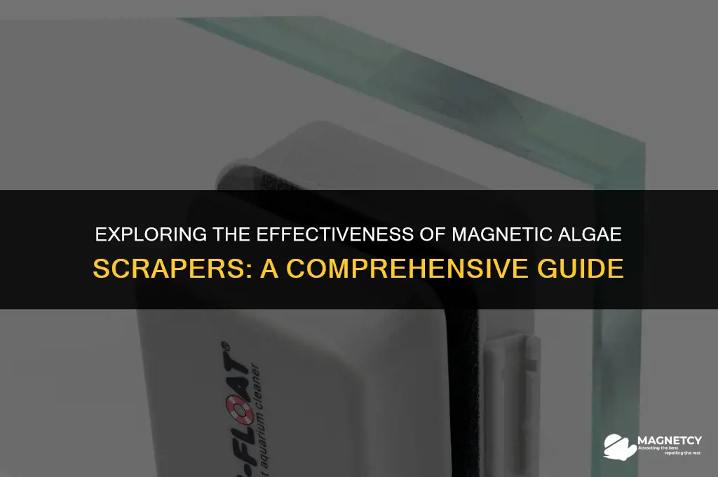do magnetic algae scrapers work