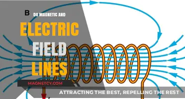 Exploring the Intricacies of Magnetic and Electric Field Lines