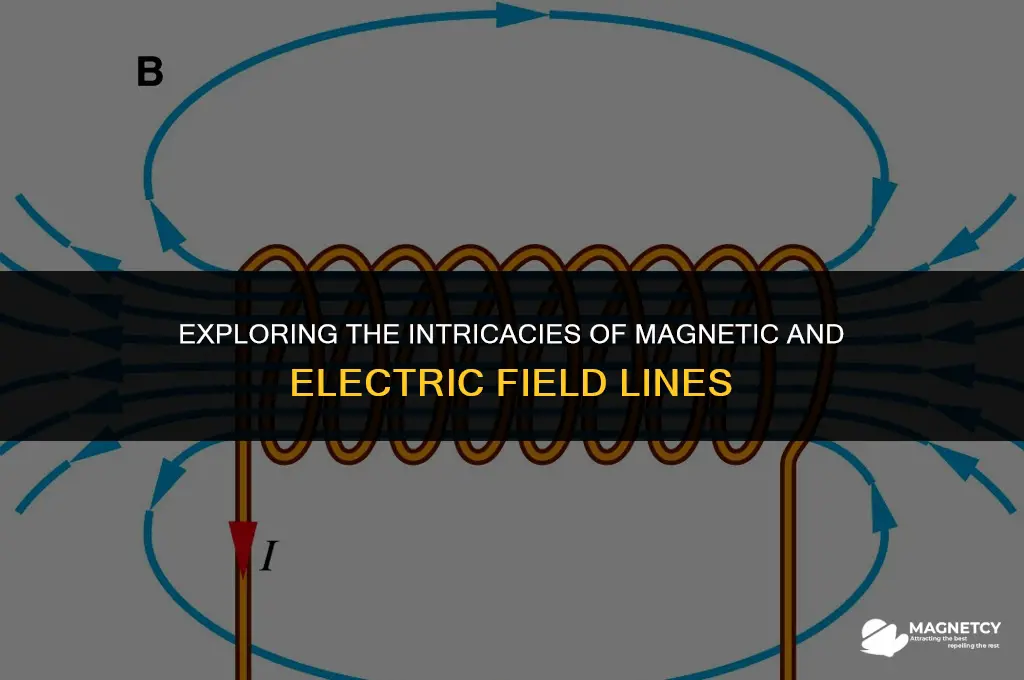 do magnetic and electric field lines