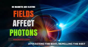 Exploring the Influence of Magnetic and Electric Fields on Photons