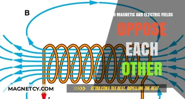 Exploring the Intricate Dance Between Magnetic and Electric Fields