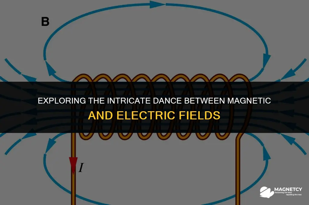 do magnetic and electric fields oppose each other