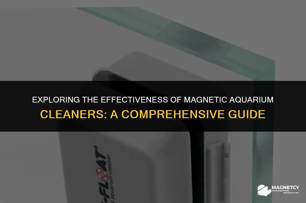do magnetic aquarium cleaners work