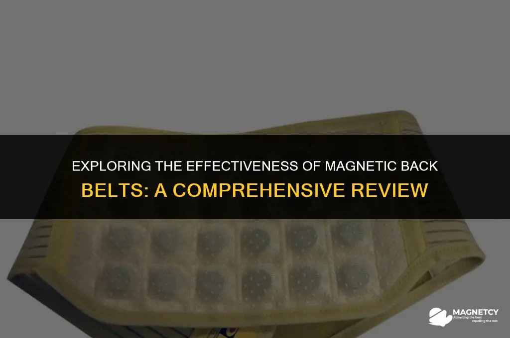 do magnetic back belts work