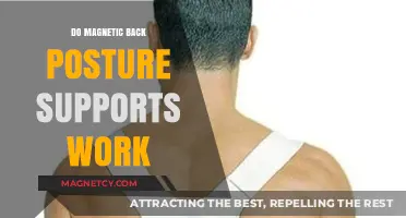 Exploring the Effectiveness of Magnetic Back Posture Supports