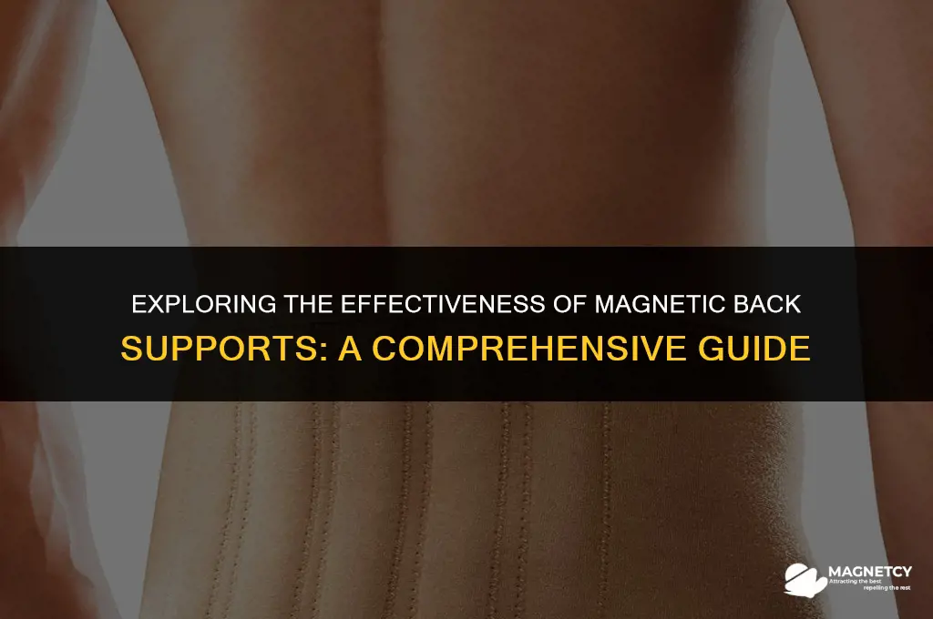 do magnetic back supports work