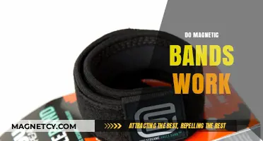Exploring the Science Behind Magnetic Therapy Bands: Do They Really Work?