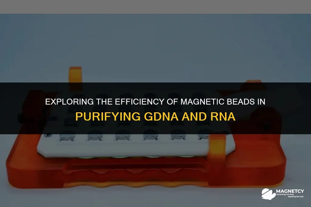 do magnetic beads co purify gdna and rna
