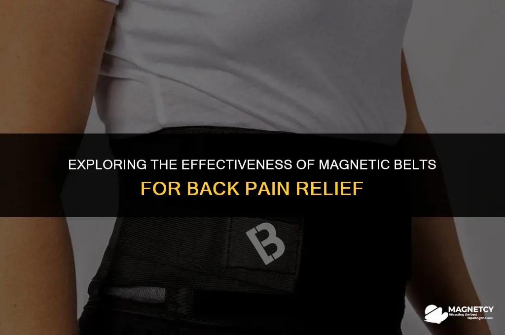 do magnetic belts work for back pain