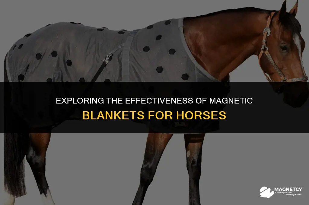 do magnetic blankets work on horses