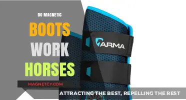Exploring the Effectiveness of Magnetic Boots for Horses