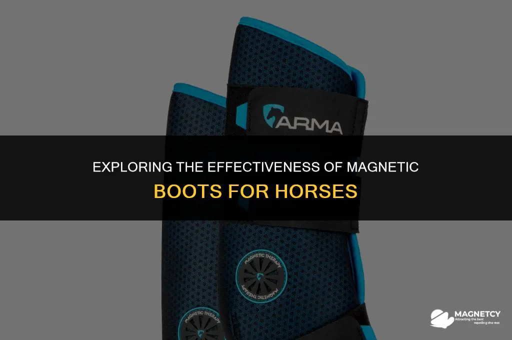 do magnetic boots work horses
