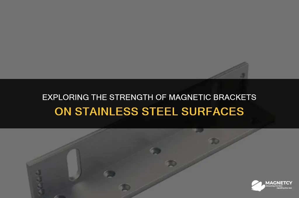 do magnetic brackets work for stainless steel