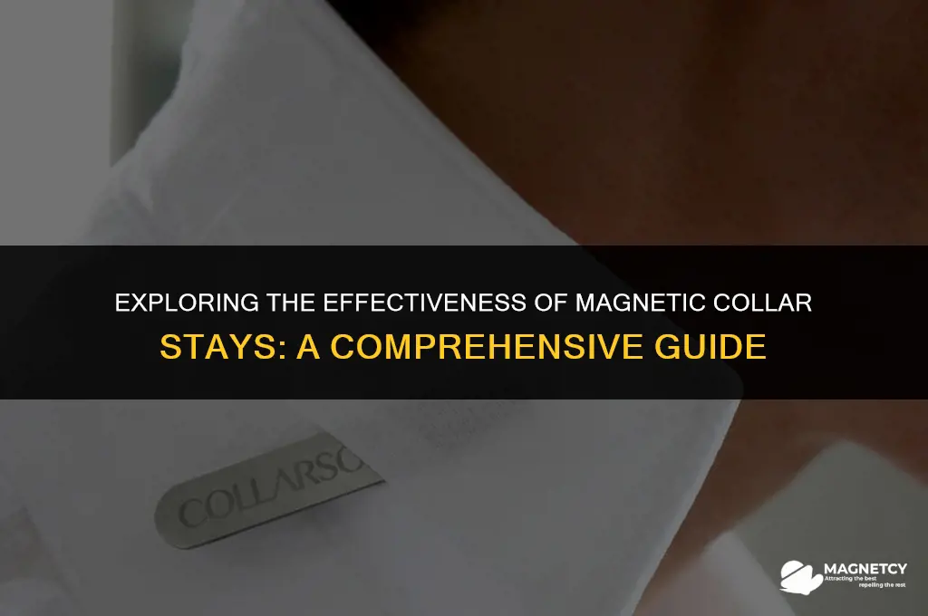 do magnetic collar stays work
