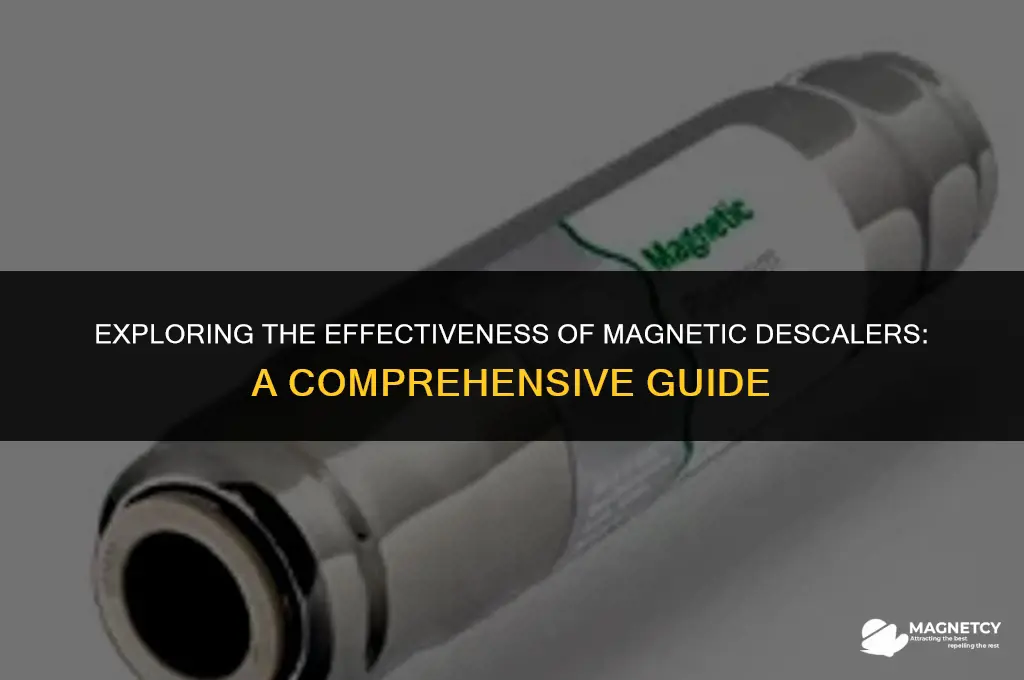 do magnetic descalers work