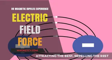 Exploring the Interaction: Do Magnetic Dipoles Feel Electric Forces?