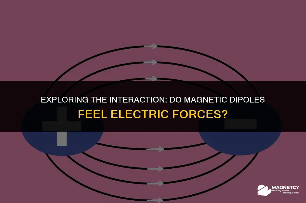do magnetic dipoles experience electric field force