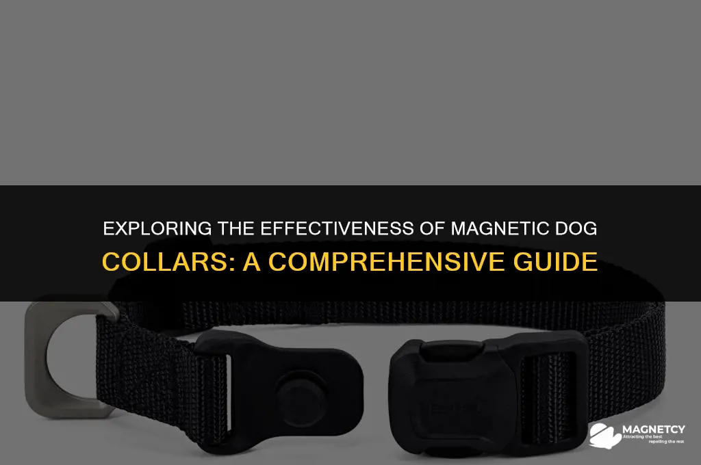 do magnetic dog collars work