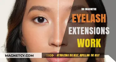 Exploring the Effectiveness of Magnetic Eyelash Extensions: A Comprehensive Guide