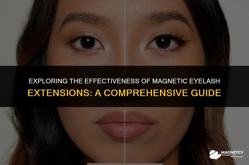 do magnetic eyelash extensions work