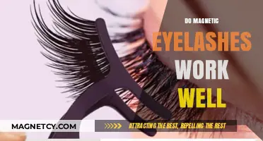 Exploring the Effectiveness of Magnetic Eyelashes: A Comprehensive Guide