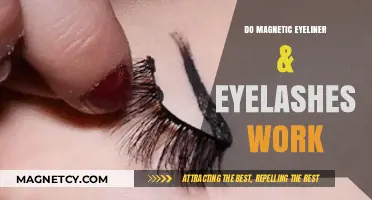 Exploring the Magic: Do Magnetic Eyeliner and Eyelashes Really Work?