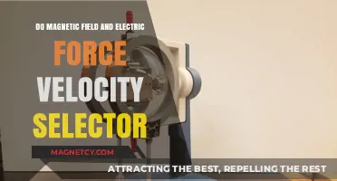 Exploring the Velocity Selector: Where Magnetic Fields and Electric Forces Collide