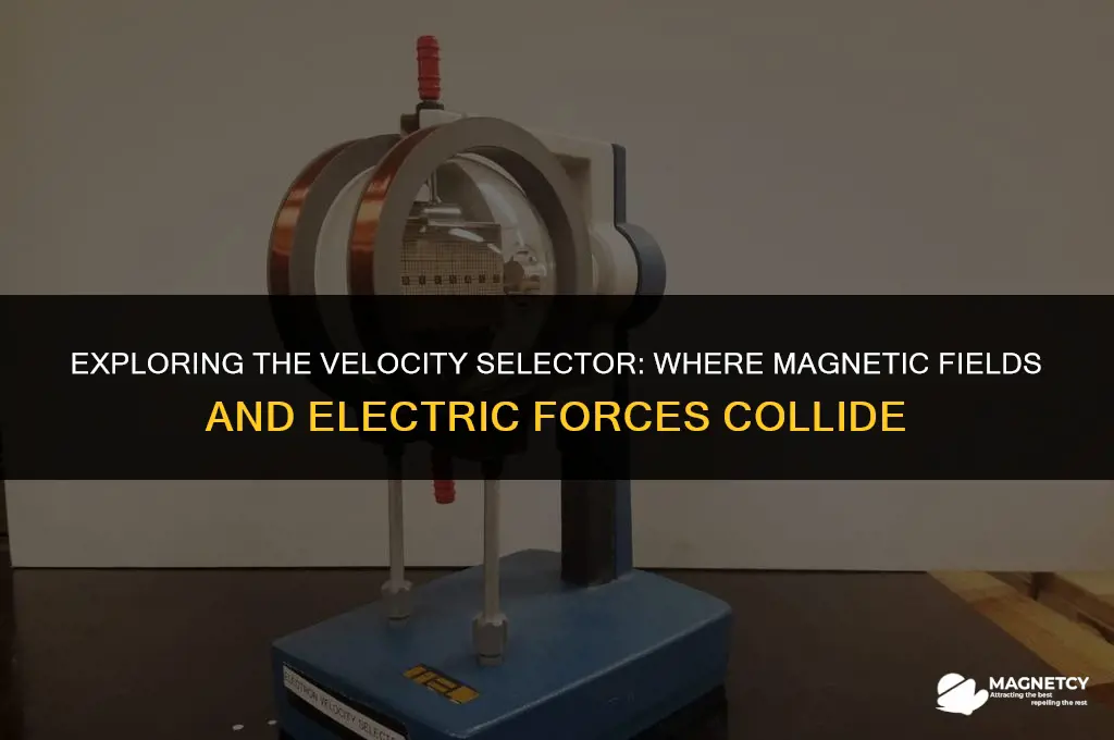 do magnetic field and electric force velocity selector