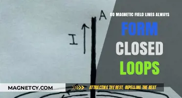 Exploring the Intricacies of Magnetic Field Lines: Do They Always Loop?