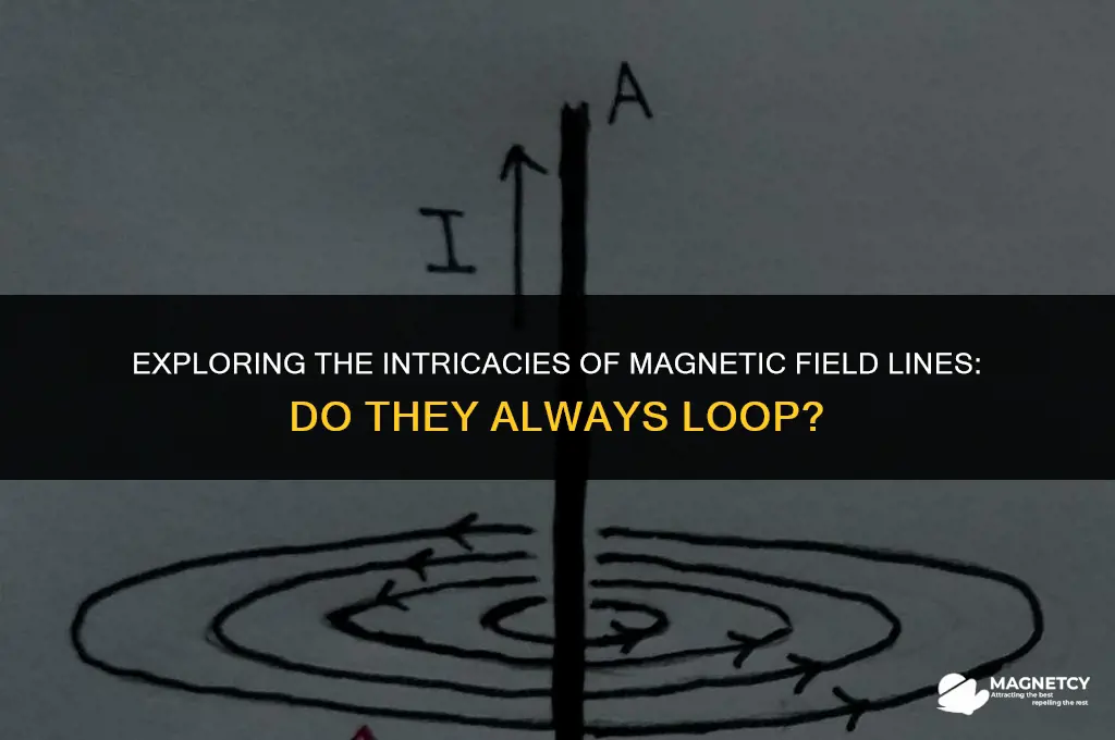 do magnetic field lines always form closed loops