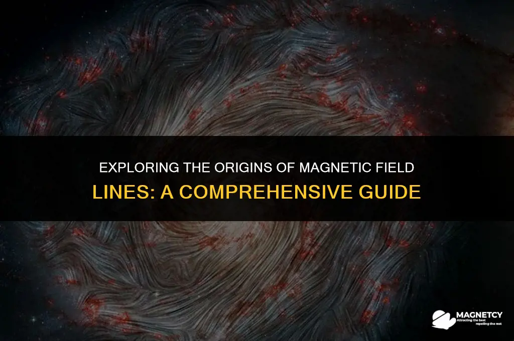 do magnetic field lines always start somewhere