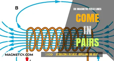 Unveiling the Mystery: Do Magnetic Field Lines Really Come in Pairs?