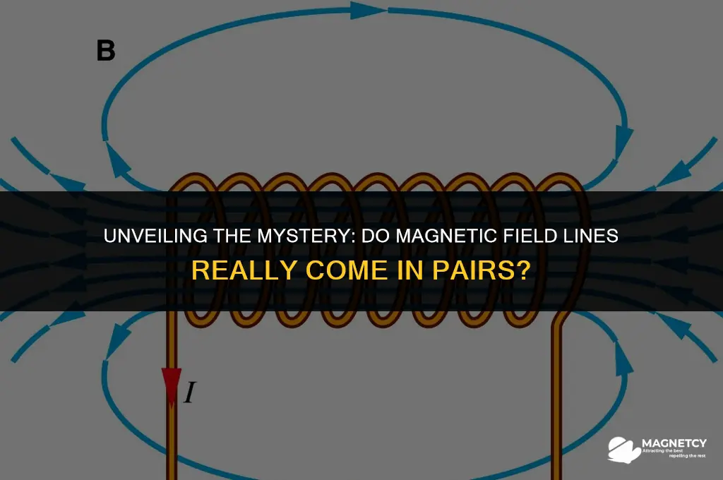 do magnetic field lines come in pairs