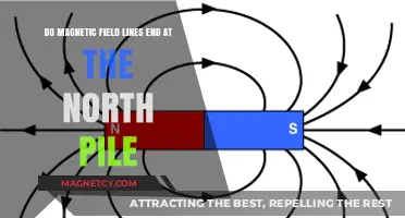 Exploring Magnetic Mysteries: Do Field Lines Terminate at the North Pole?