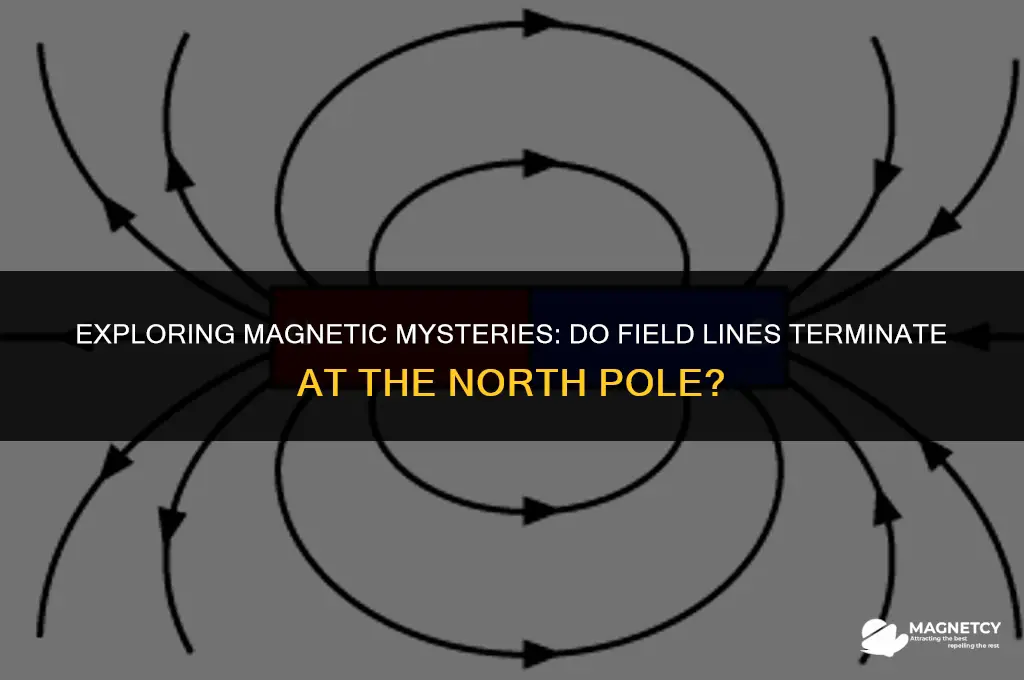 do magnetic field lines end at the north pile