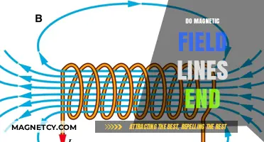 Exploring the Eternity of Magnetic Field Lines: Do They Ever End?