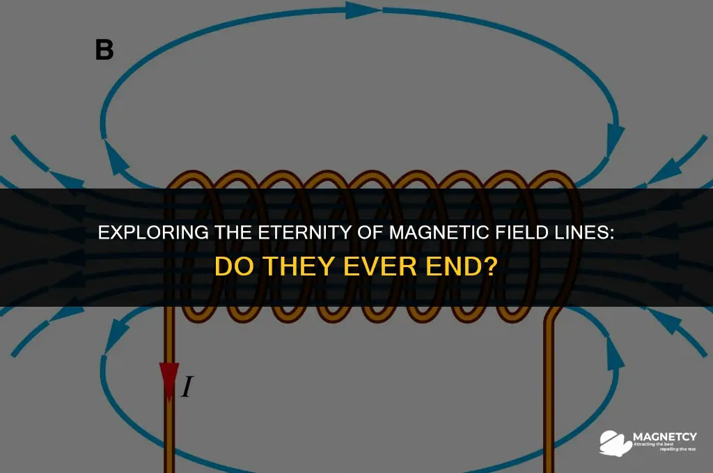 do magnetic field lines end