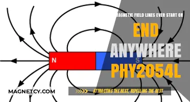 Exploring Magnetic Field Lines: Do They Ever Begin or End?