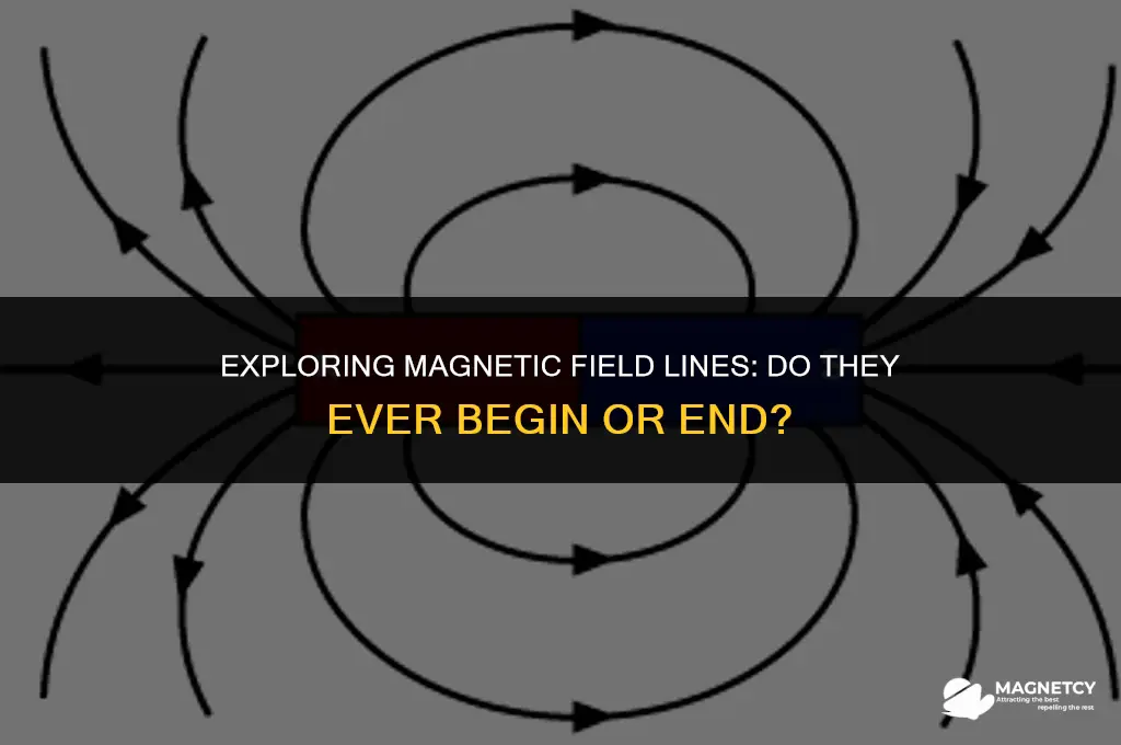 do magnetic field lines ever start or end anywhere phy2054l