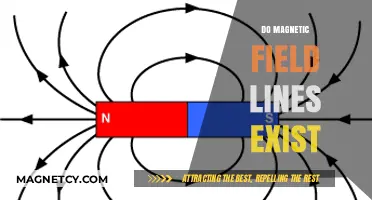 Unveiling the Invisible: The Reality of Magnetic Field Lines