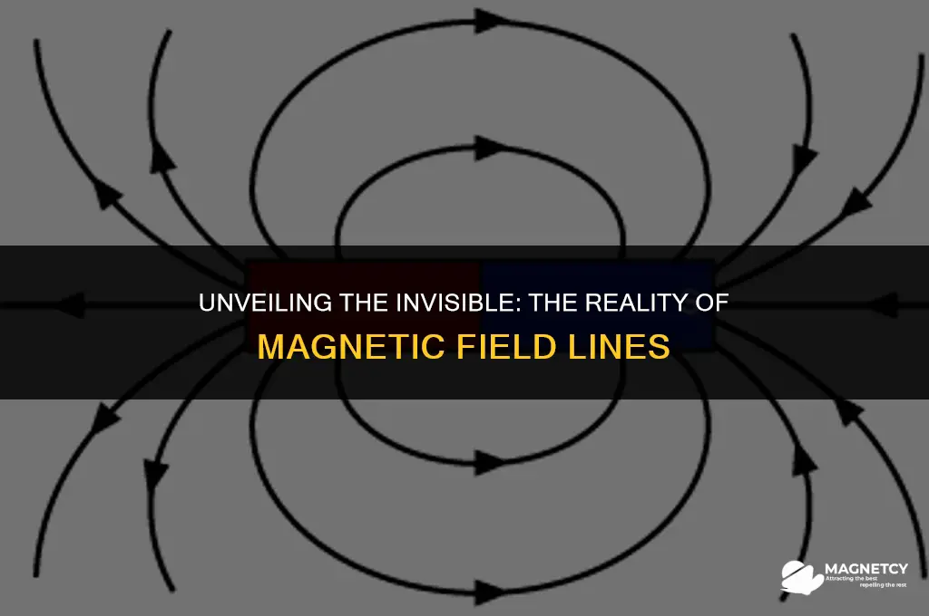 do magnetic field lines exist