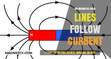 Exploring the Relationship Between Magnetic Fields and Electric Current
