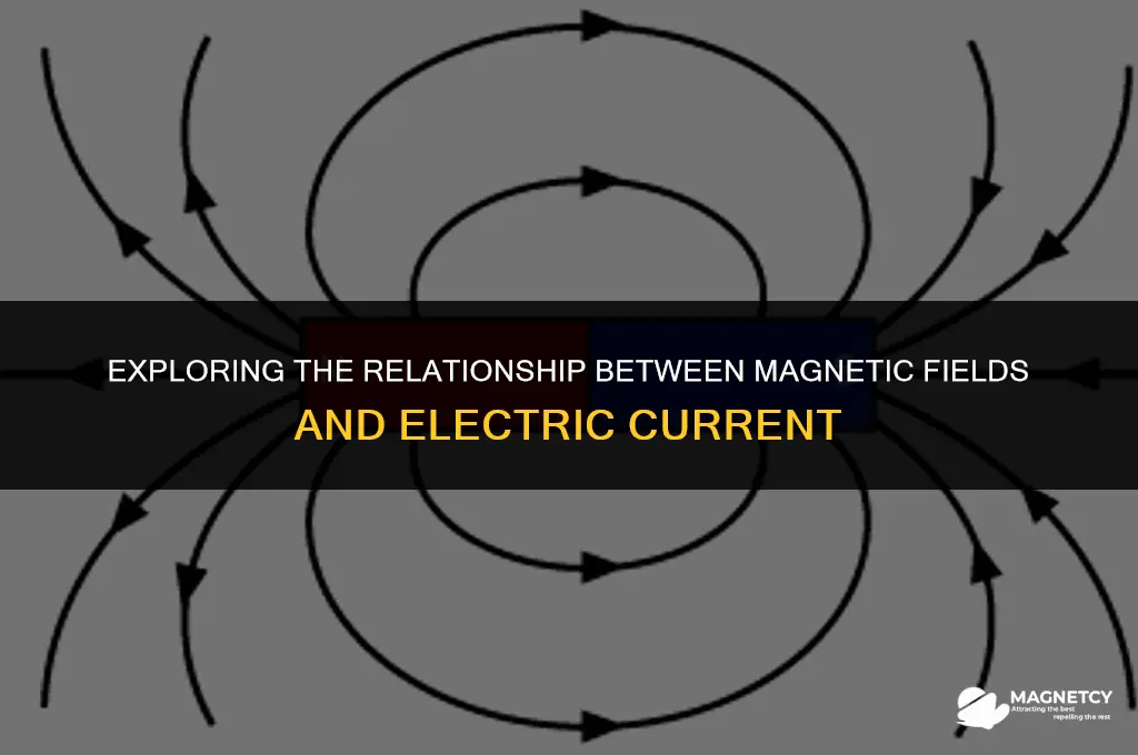do magnetic field lines follow current