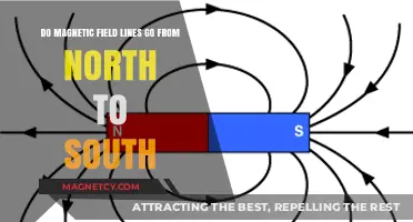 Exploring Magnetism: Do Field Lines Flow North to South?