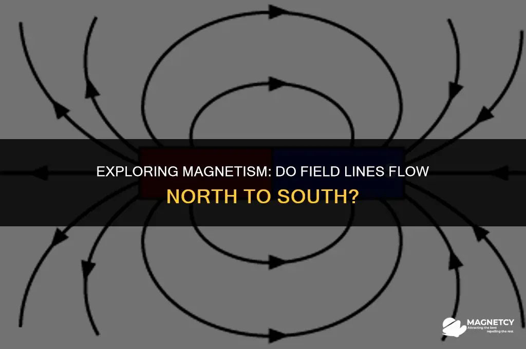 do magnetic field lines go from north to south