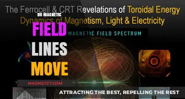Unveiling the Dynamics: Do Magnetic Field Lines Move?