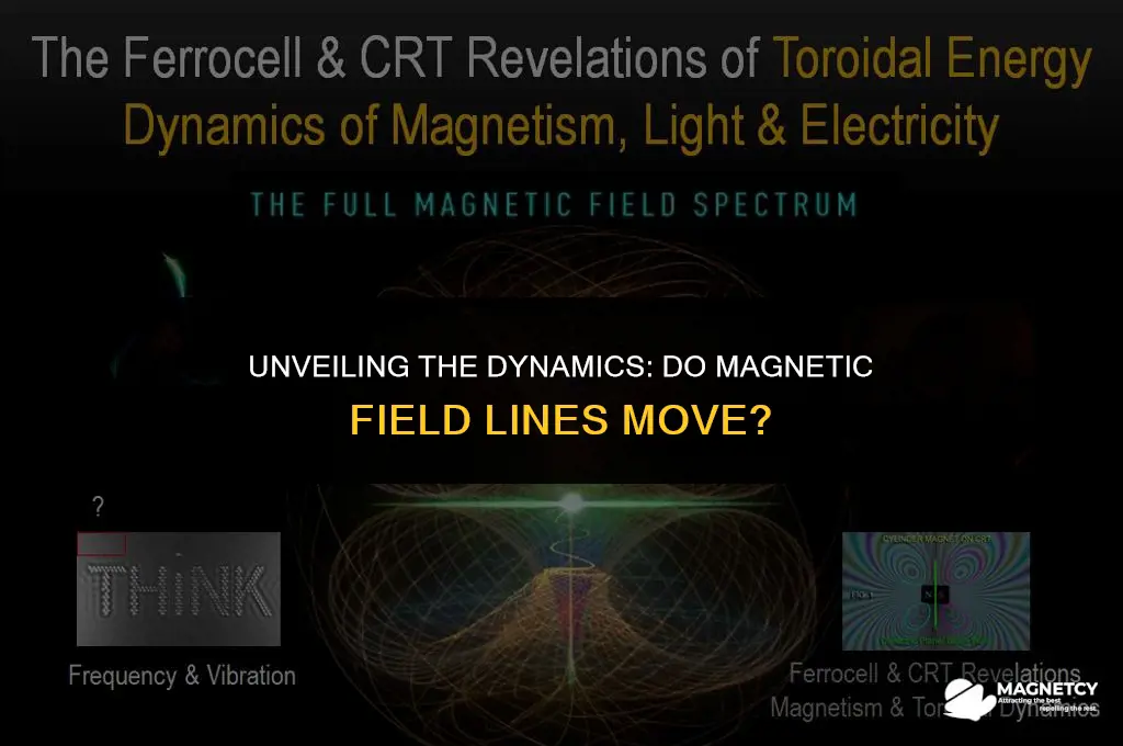 do magnetic field lines move