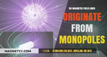 Exploring the Myth of Magnetic Monopoles: Where Do Field Lines Begin?