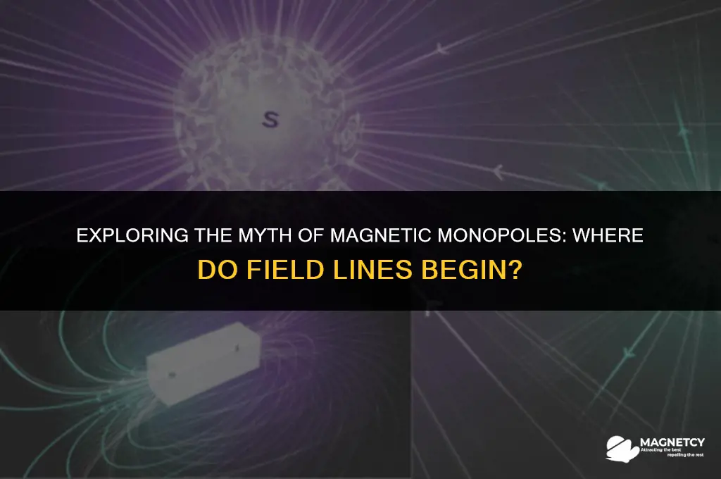 do magnetic field lines originate from monopoles
